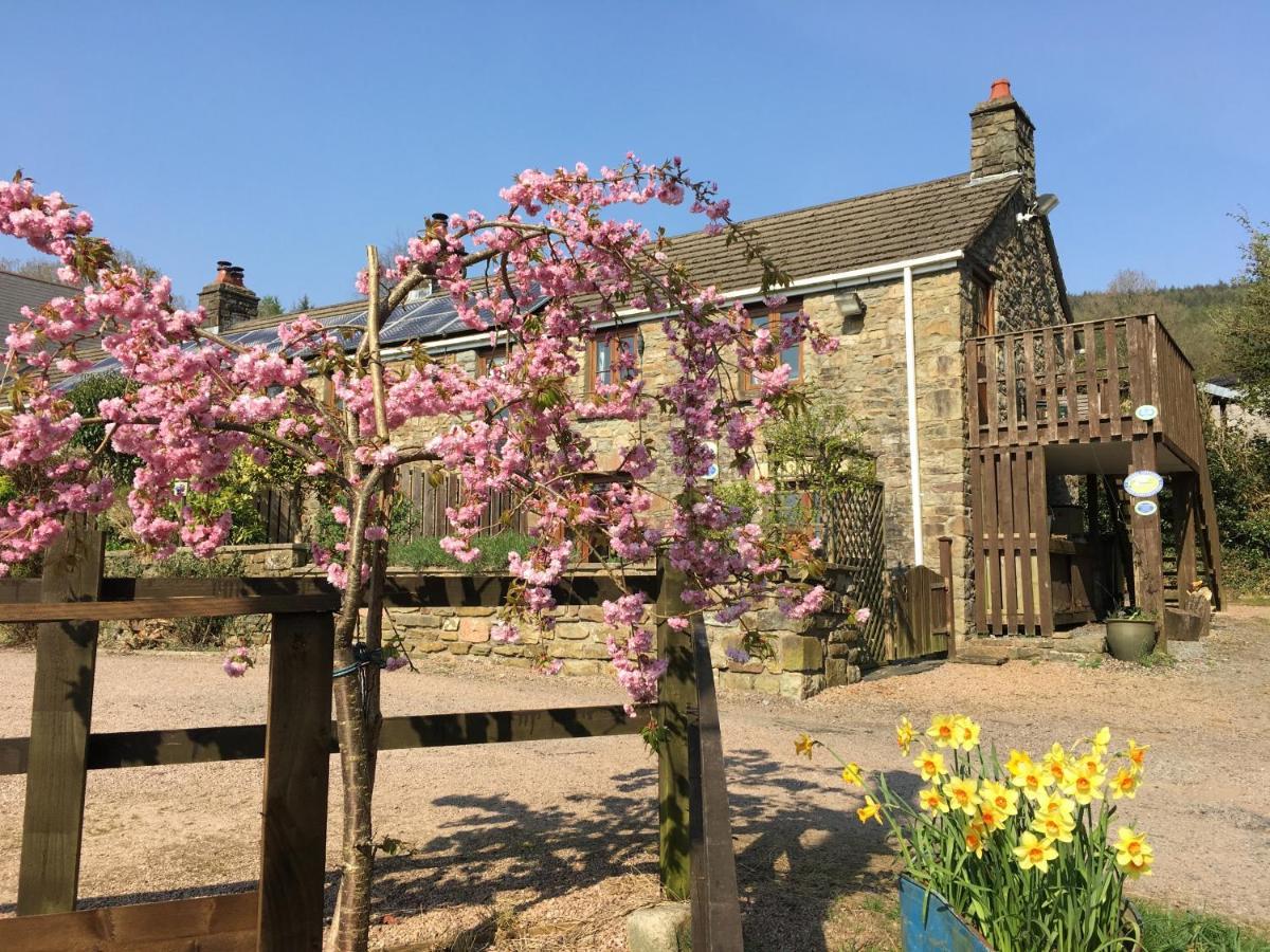 אברדייר Tunnel Cottages At Blaen-Nant-Y-Groes Farm מראה חיצוני תמונה