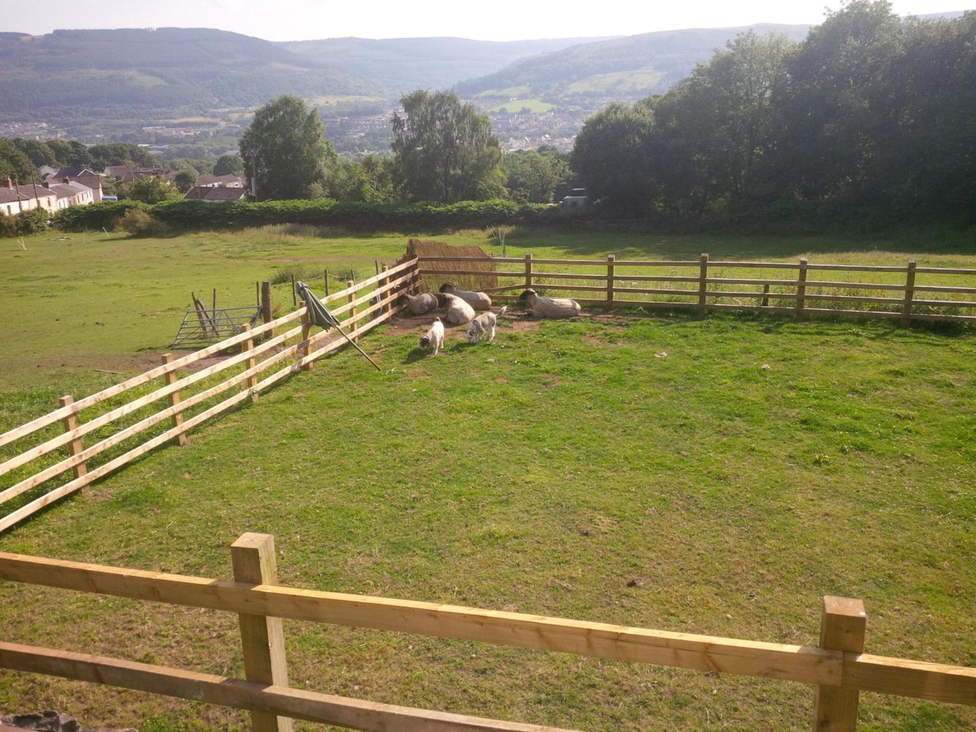 אברדייר Tunnel Cottages At Blaen-Nant-Y-Groes Farm חדר תמונה