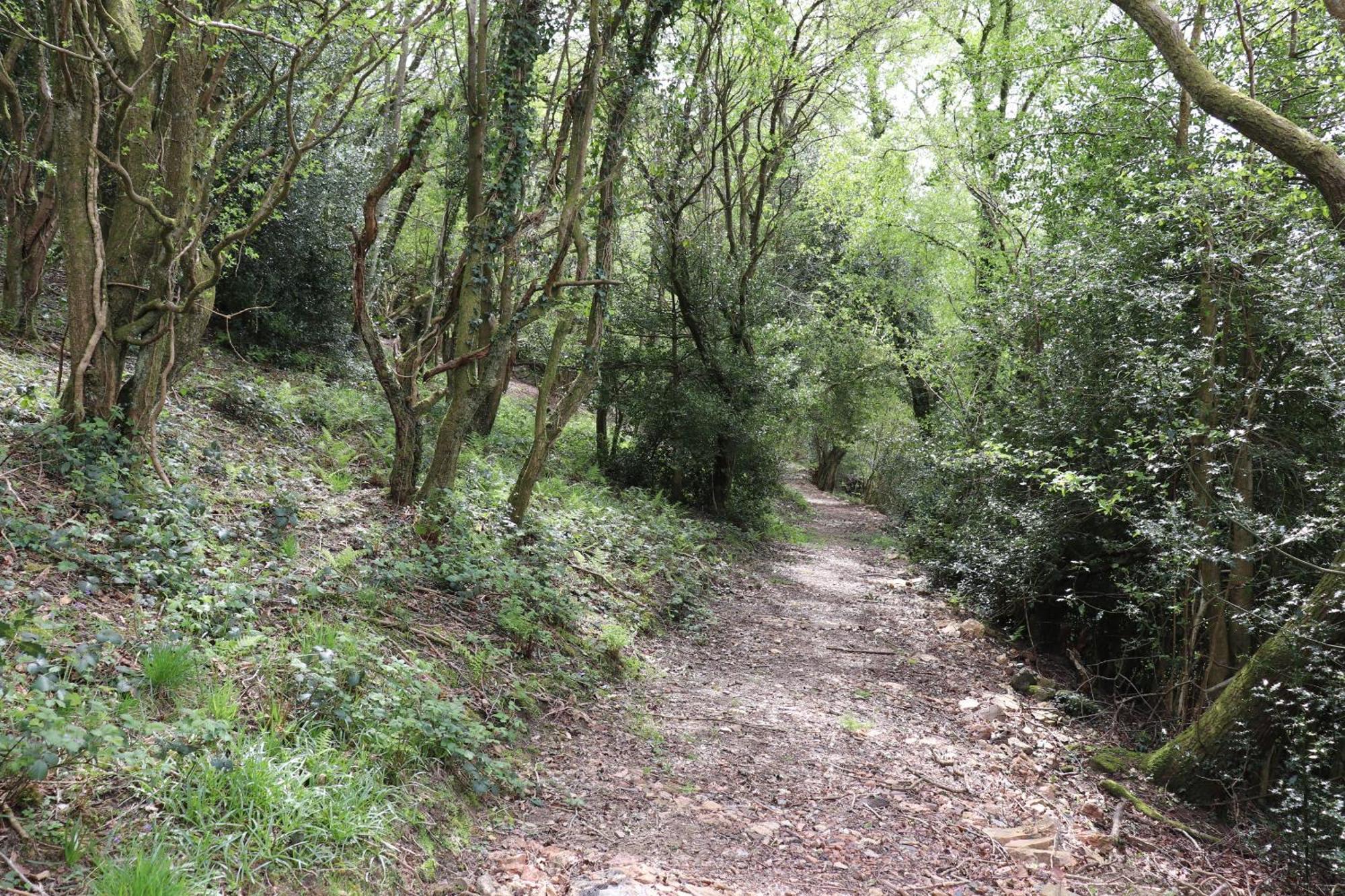 אברדייר Tunnel Cottages At Blaen-Nant-Y-Groes Farm מראה חיצוני תמונה